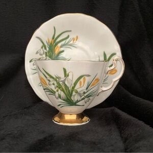 Adderley China Tea Cup and Saucer with Crocuses and Snowdrops.